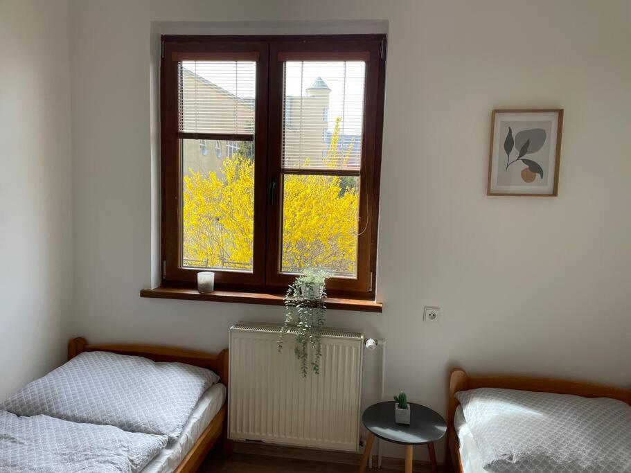 Centrum Fno Apartment